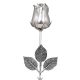 Ezüst - rózsa Argento antico 47 cm.